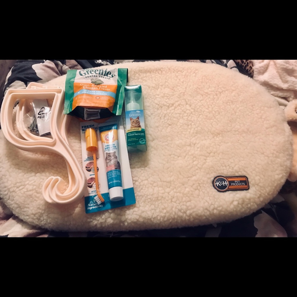 CAT / KITTEN BRAND NEW WINDOW SEAT AND LOT OF ORAL